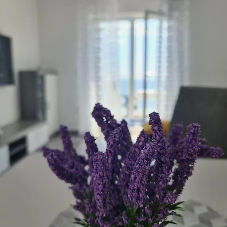 Pavlic Apartman Saplunara