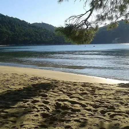 Pavlic * Saplunara