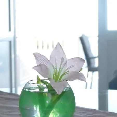 Apartmán Pavlic Saplunara